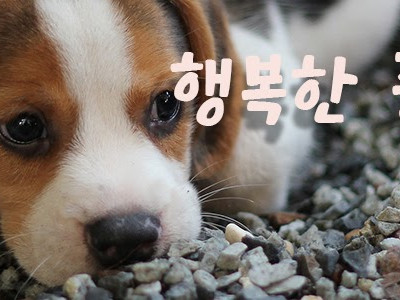 인생은 롤러코스터와 같아