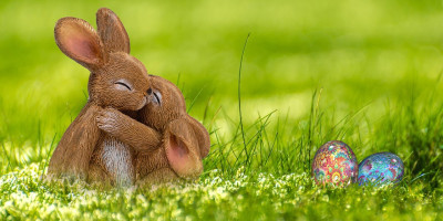 한 걸음 한 걸음이 힘차고