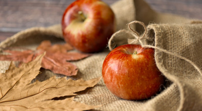 파일 첨부 mp4 썸네일 출력 안됨